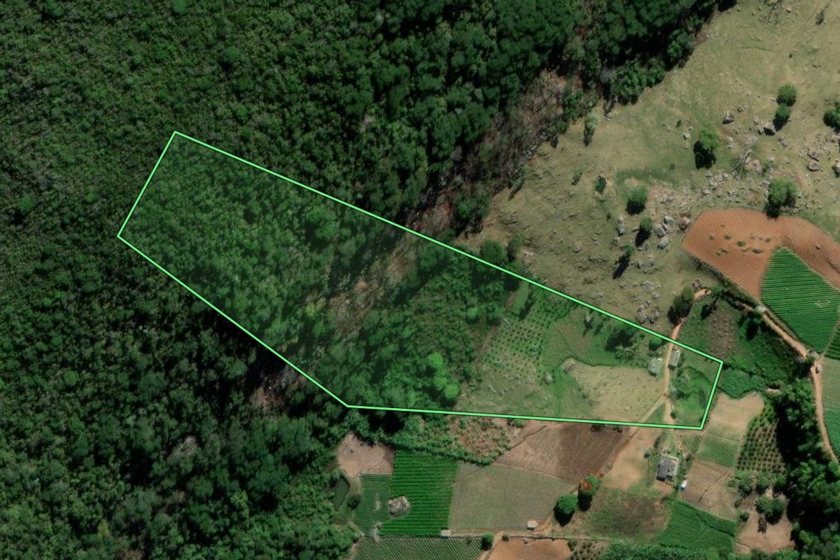 Imagem de satélite do imóvel rural em Sumidouro (RJ), com o contorno declarado no CAR desenhado por cima.