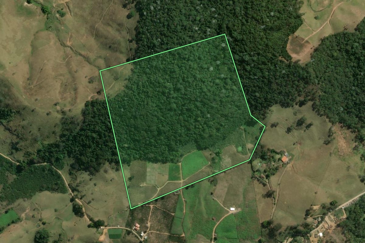 Imagem de satélite do imóvel rural em Sumidouro (RJ), com o contorno declarado no CAR desenhado por cima.