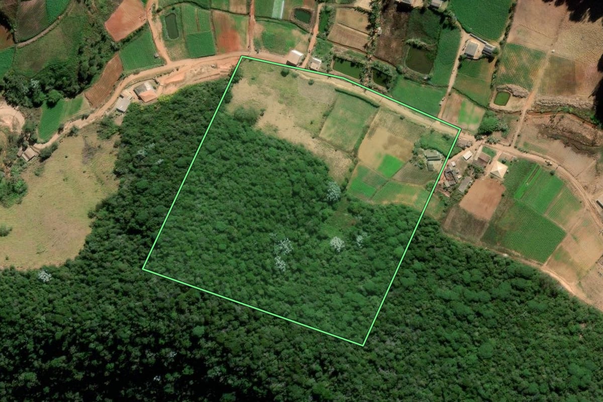 Imagem de satélite do imóvel rural em Sumidouro (RJ), com o contorno declarado no CAR desenhado por cima.
