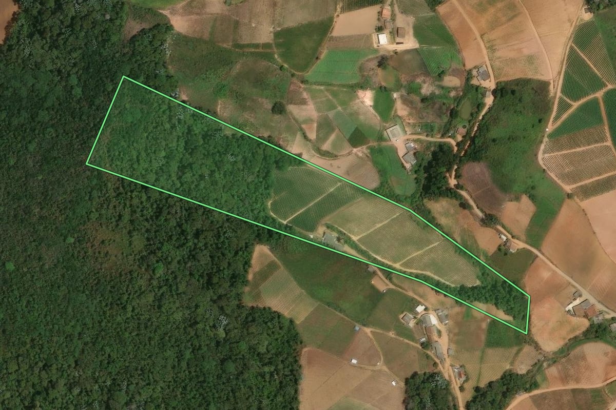 Imagem de satélite do imóvel rural em Sumidouro (RJ), com o contorno declarado no CAR desenhado por cima.