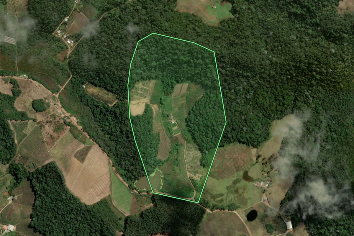 Imagem de satélite do imóvel rural em Sumidouro (RJ), com o contorno declarado no CAR desenhado por cima.