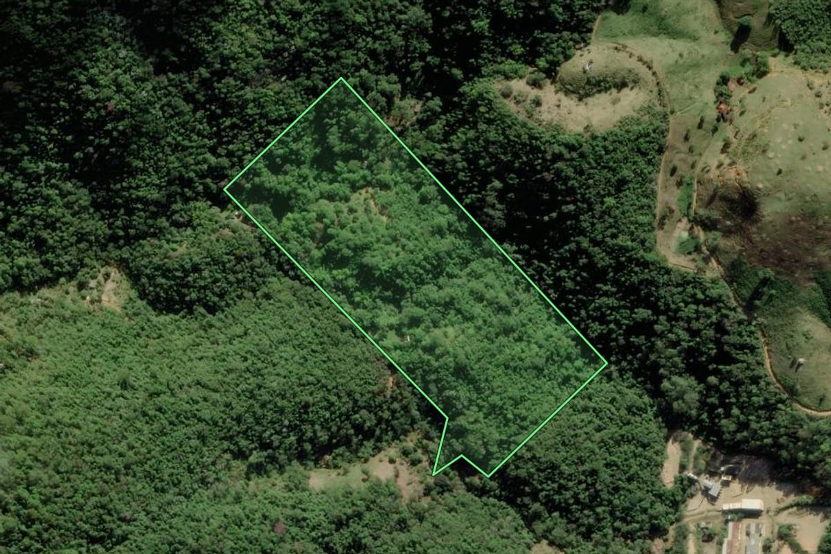 Imagem de satélite do imóvel rural em Tanguá (RJ), com o contorno declarado no CAR desenhado por cima.