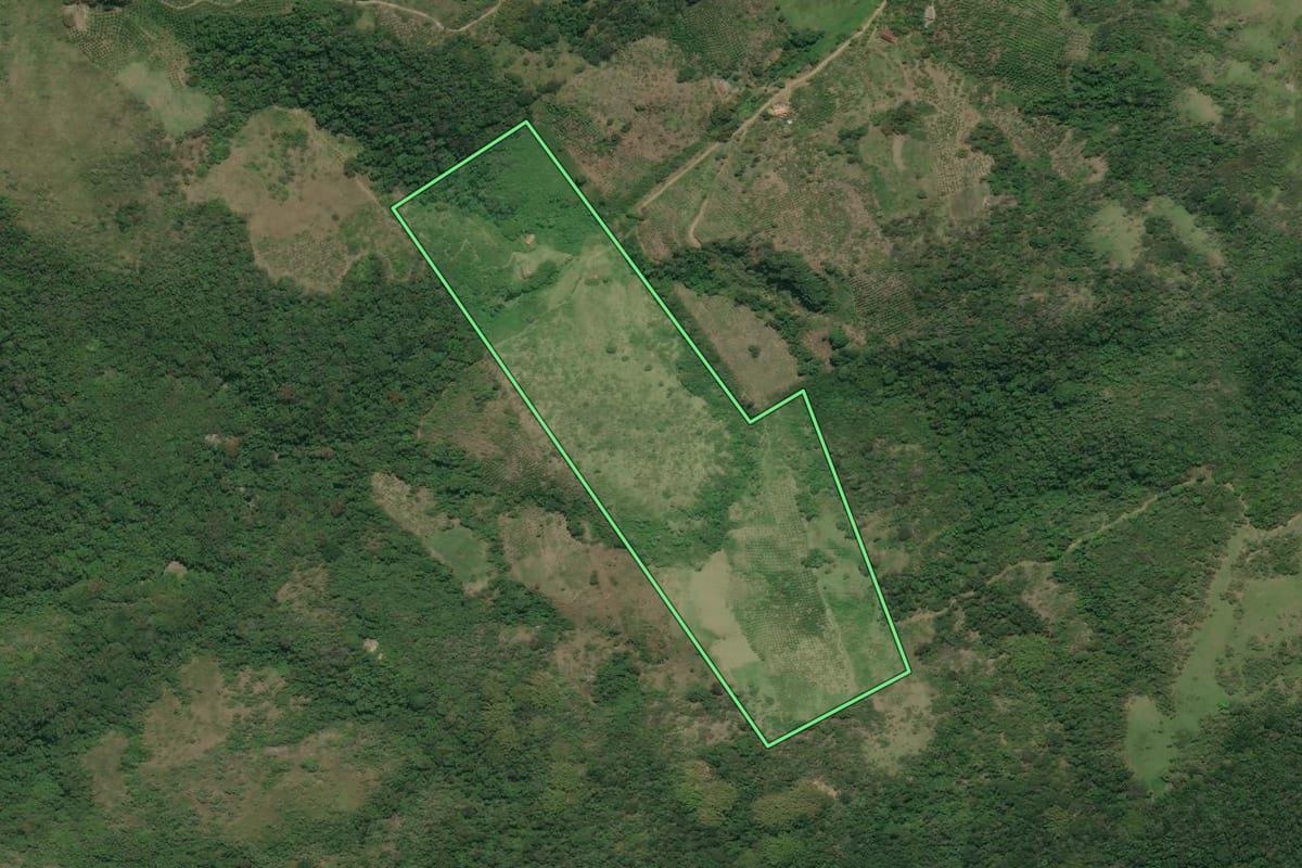 Imagem de satélite do imóvel rural em Tanguá (RJ), com o contorno declarado no CAR desenhado por cima.