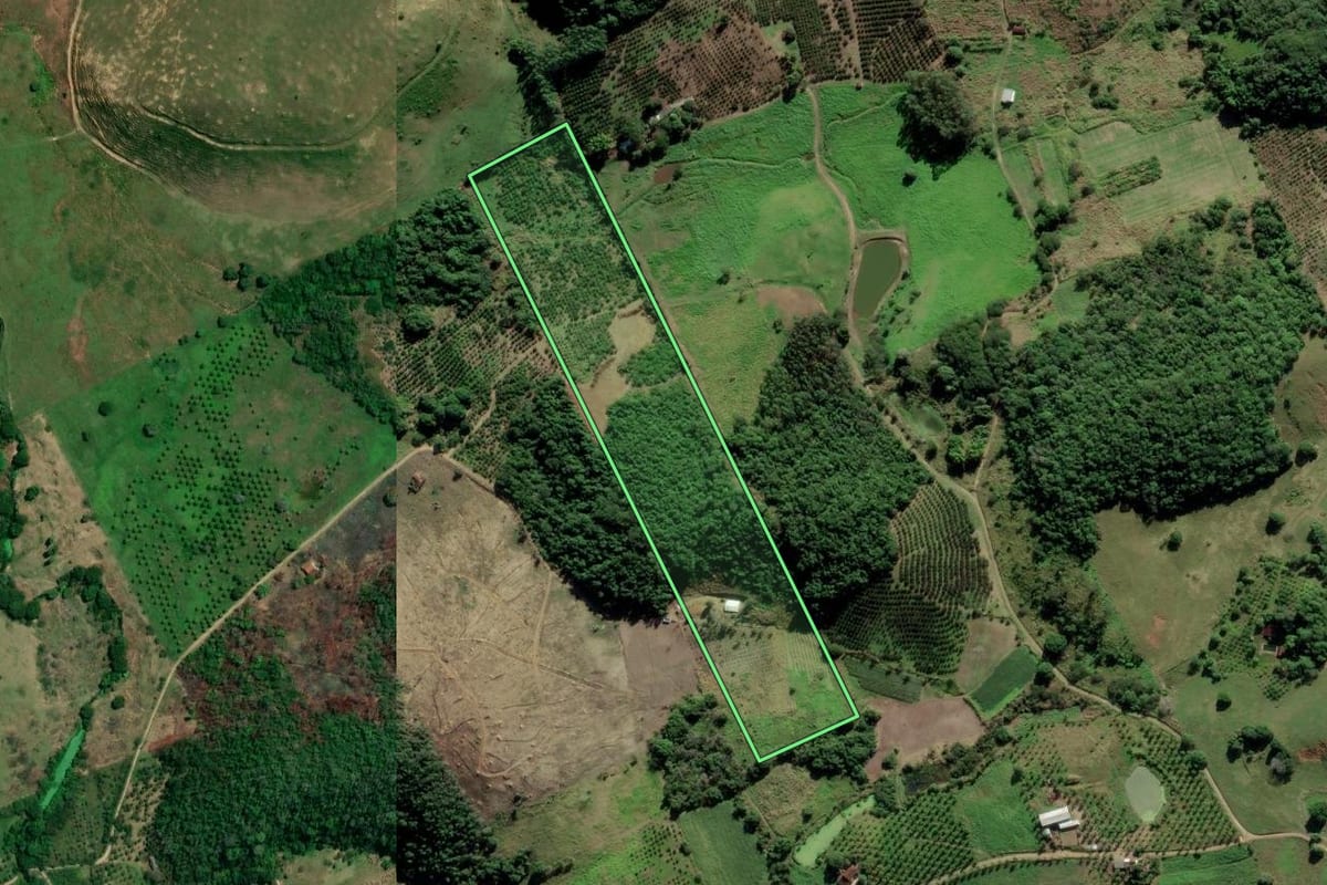 Imagem de satélite do imóvel rural em Tanguá (RJ), com o contorno declarado no CAR desenhado por cima.