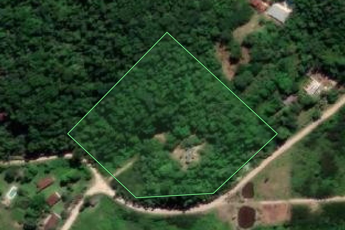 Imagem de satélite do imóvel rural em Tanguá (RJ), com o contorno declarado no CAR desenhado por cima.