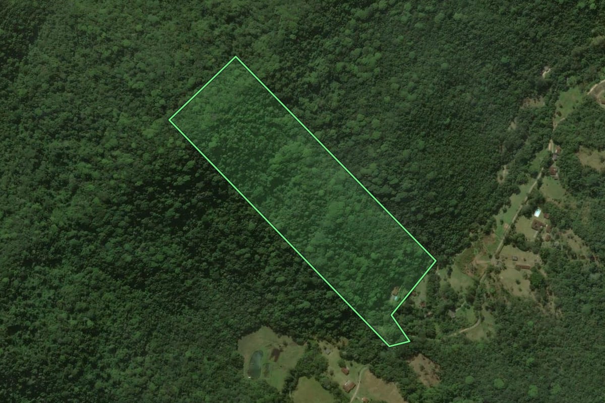 Imagem de satélite do imóvel rural em Teresópolis (RJ), com o contorno declarado no CAR desenhado por cima.