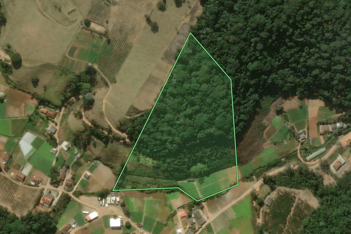 Imagem de satélite do imóvel rural em Teresópolis (RJ), com o contorno declarado no CAR desenhado por cima.