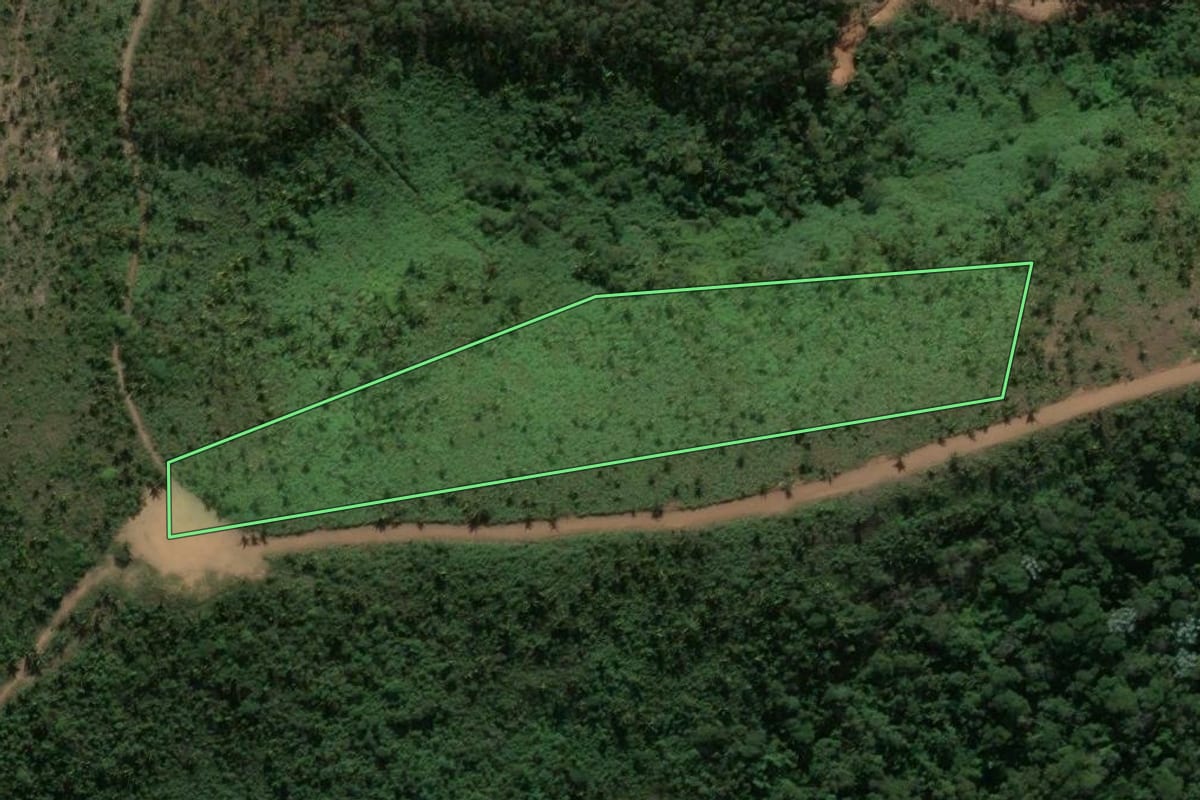 Imagem de satélite do imóvel rural em Teresópolis (RJ), com o contorno declarado no CAR desenhado por cima.
