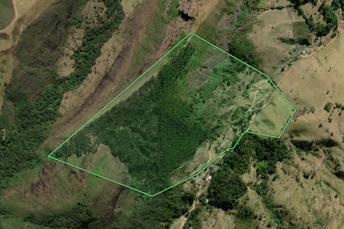 Imagem de satélite do imóvel rural em Teresópolis (RJ), com o contorno declarado no CAR desenhado por cima.