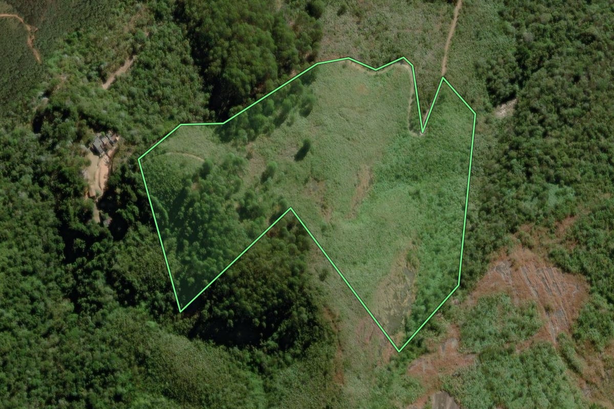 Imagem de satélite do imóvel rural em Teresópolis (RJ), com o contorno declarado no CAR desenhado por cima.