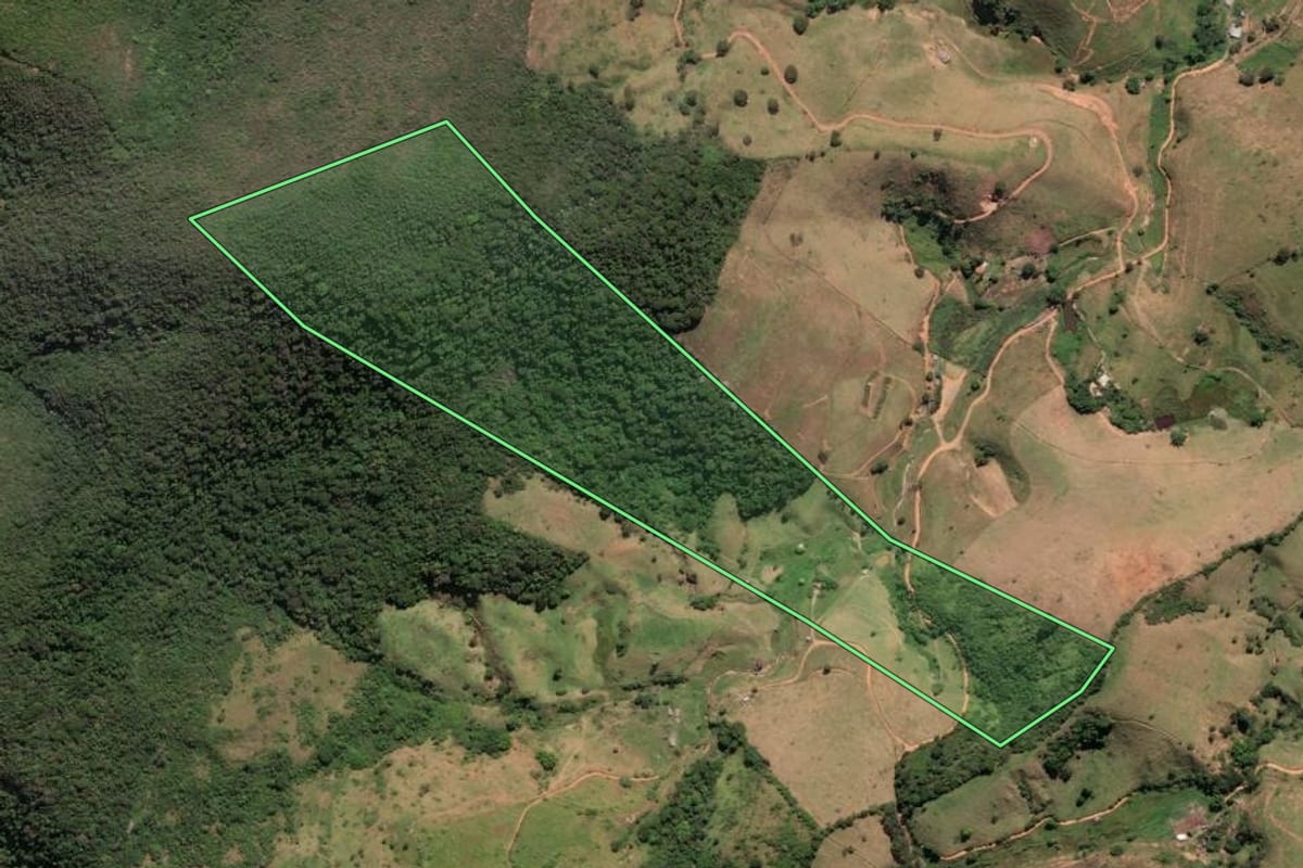 Imagem de satélite do imóvel rural em Trajano de Moraes (RJ), com o contorno declarado no CAR desenhado por cima.