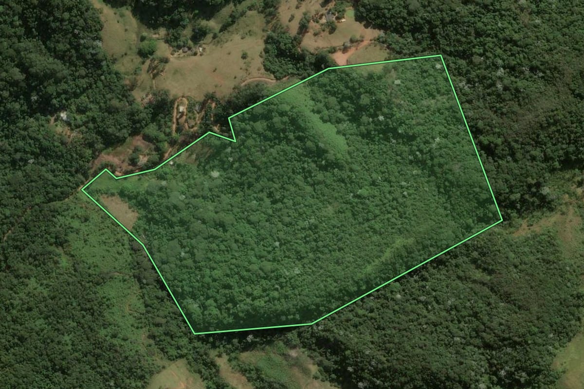 Imagem de satélite do imóvel rural em Trajano de Moraes (RJ), com o contorno declarado no CAR desenhado por cima.