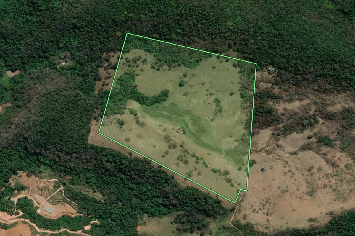 Imagem de satélite do imóvel rural em Trajano de Moraes (RJ), com o contorno declarado no CAR desenhado por cima.