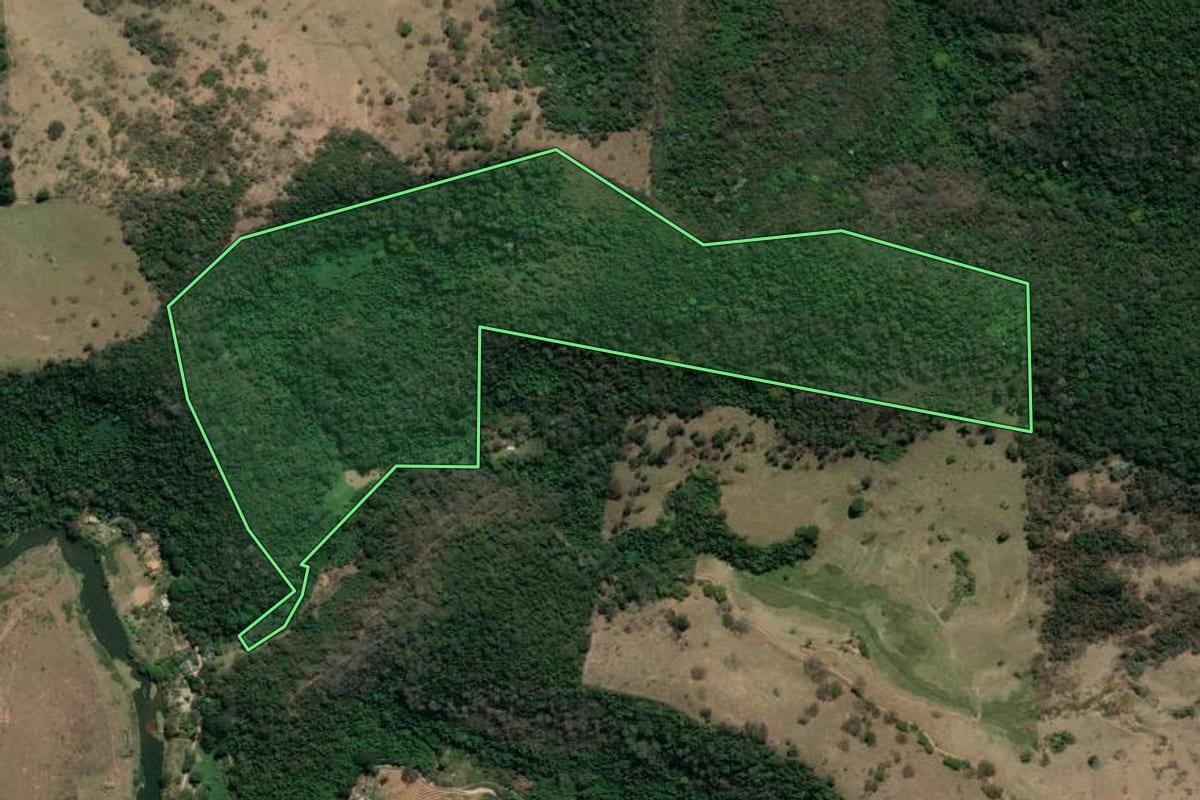 Imagem de satélite do imóvel rural em Trajano de Moraes (RJ), com o contorno declarado no CAR desenhado por cima.