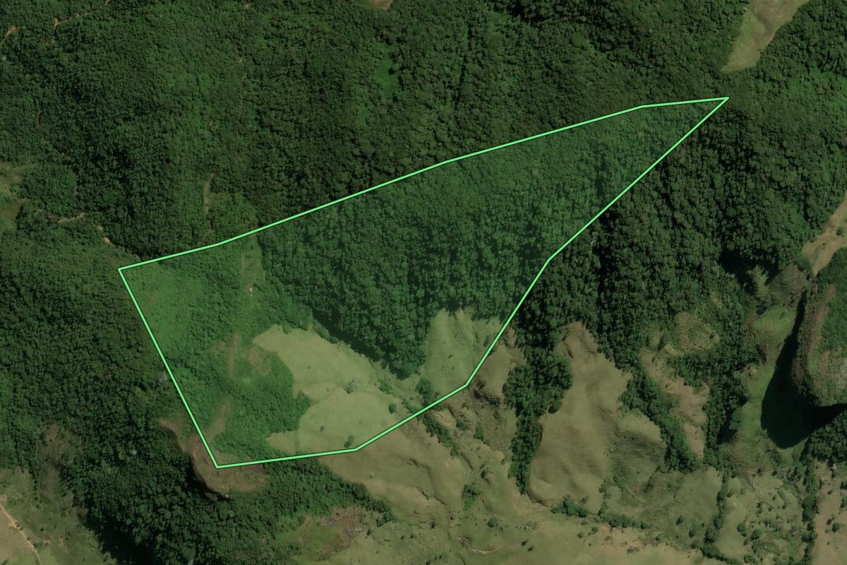 Imagem de satélite do imóvel rural em Trajano de Moraes (RJ), com o contorno declarado no CAR desenhado por cima.