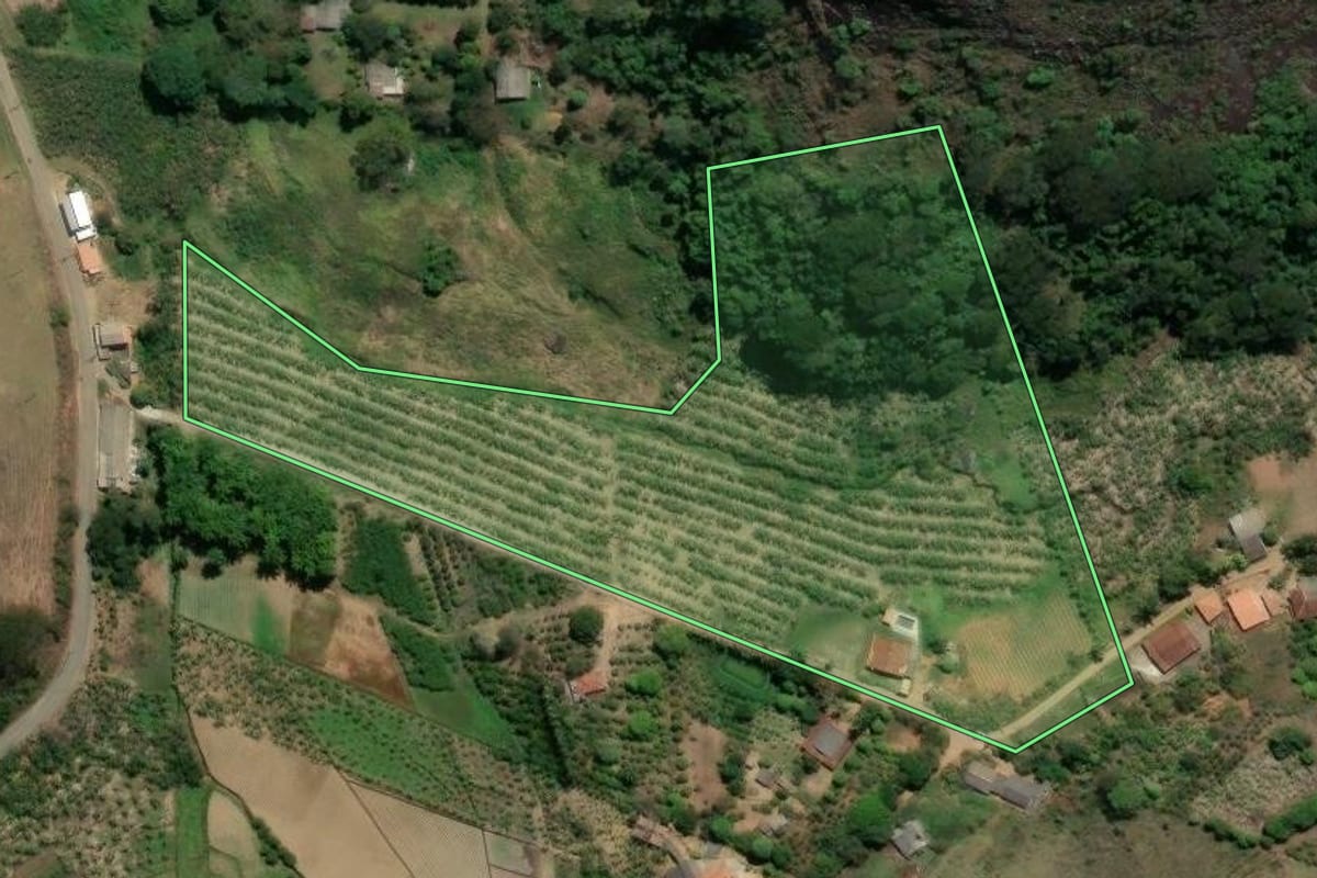Imagem de satélite do imóvel rural em Trajano de Moraes (RJ), com o contorno declarado no CAR desenhado por cima.
