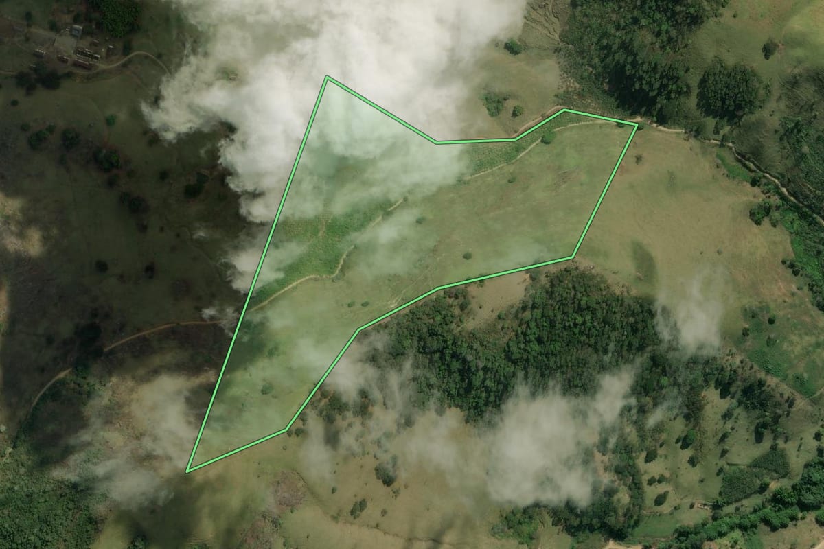 Imagem de satélite do imóvel rural em Trajano de Moraes (RJ), com o contorno declarado no CAR desenhado por cima.