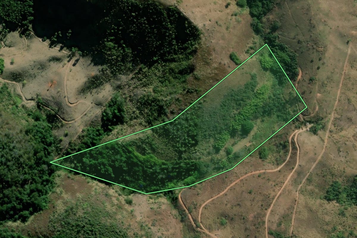 Imagem de satélite do imóvel rural em Três Rios (RJ), com o contorno declarado no CAR desenhado por cima.