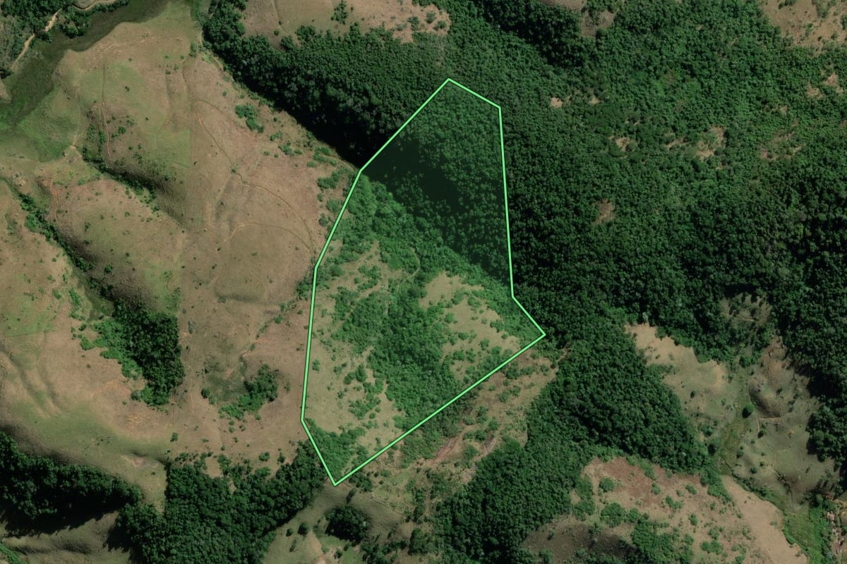 Imagem de satélite do imóvel rural em Valença (RJ), com o contorno declarado no CAR desenhado por cima.