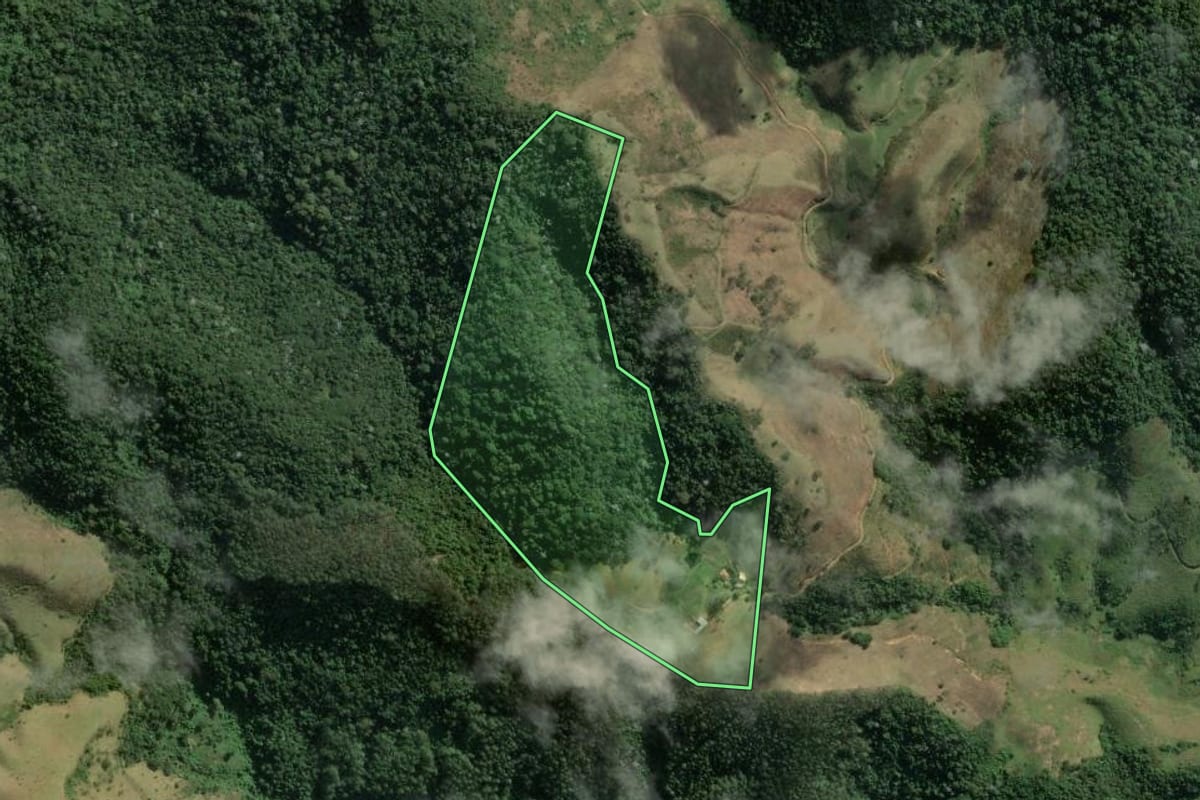 Imagem de satélite do imóvel rural em Valença (RJ), com o contorno declarado no CAR desenhado por cima.
