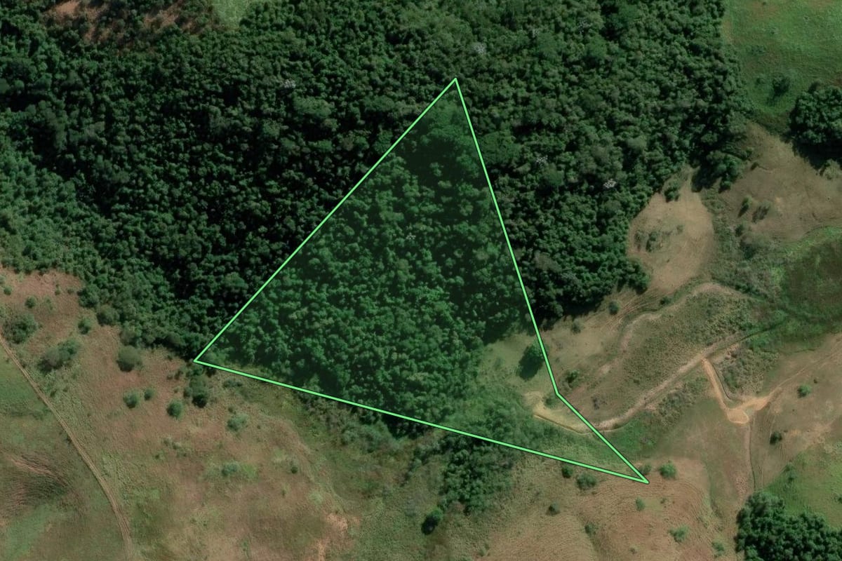 Imagem de satélite do imóvel rural em Valença (RJ), com o contorno declarado no CAR desenhado por cima.