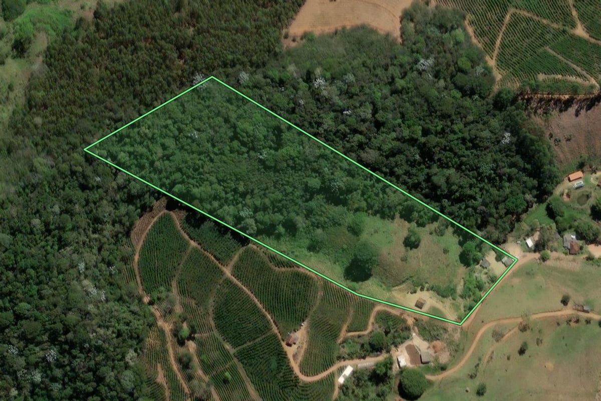 Imagem de satélite do imóvel rural em Varre-Sai (RJ), com o contorno declarado no CAR desenhado por cima.