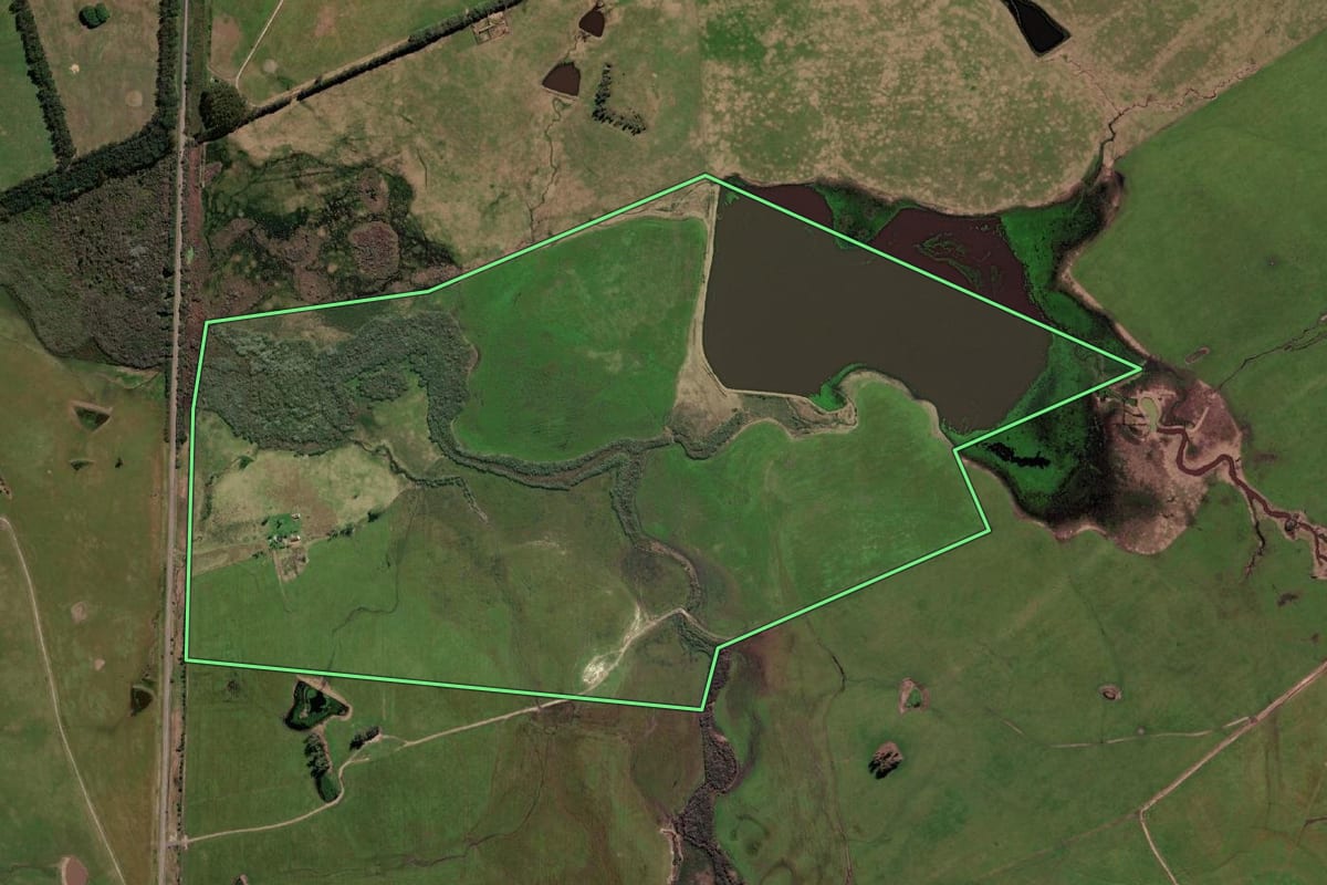Imagem de satélite do imóvel rural em Aceguá (RS), com o contorno declarado no CAR desenhado por cima.