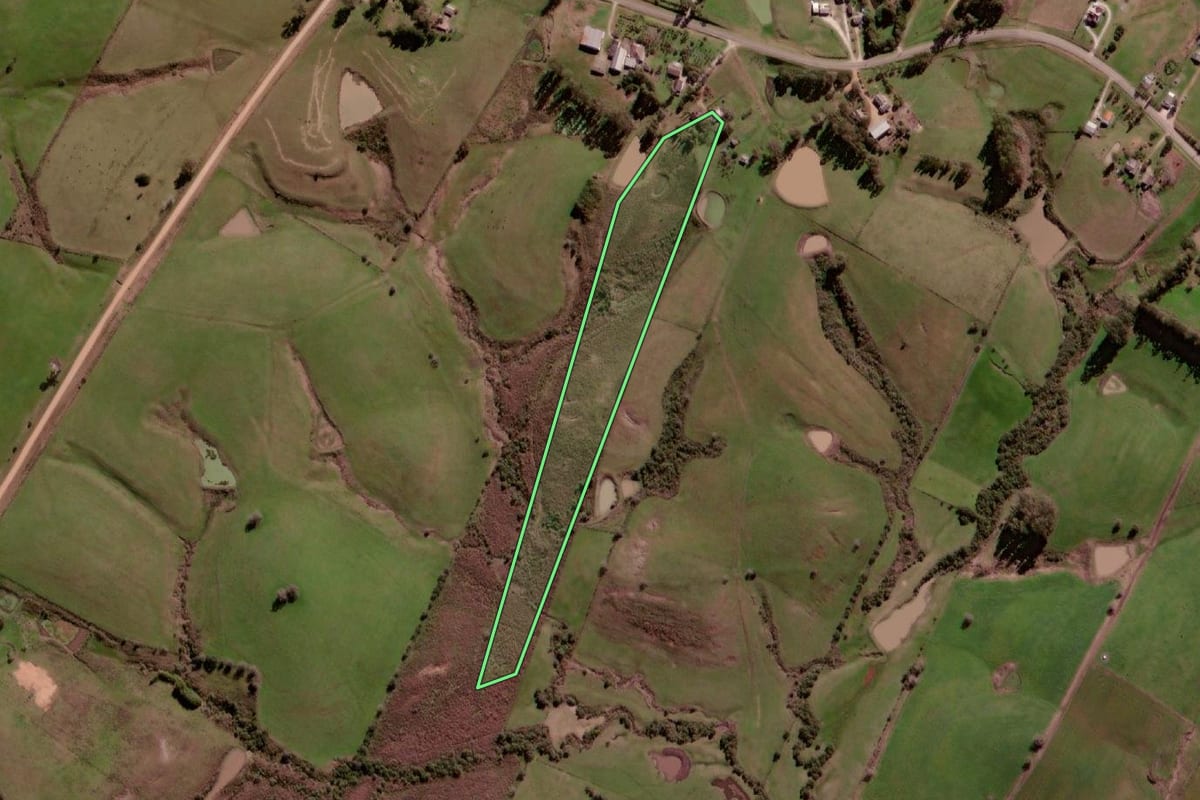 Imagem de satélite do imóvel rural em Aceguá (RS), com o contorno declarado no CAR desenhado por cima.