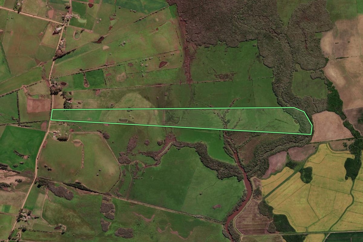 Imagem de satélite do imóvel rural em Aceguá (RS), com o contorno declarado no CAR desenhado por cima.