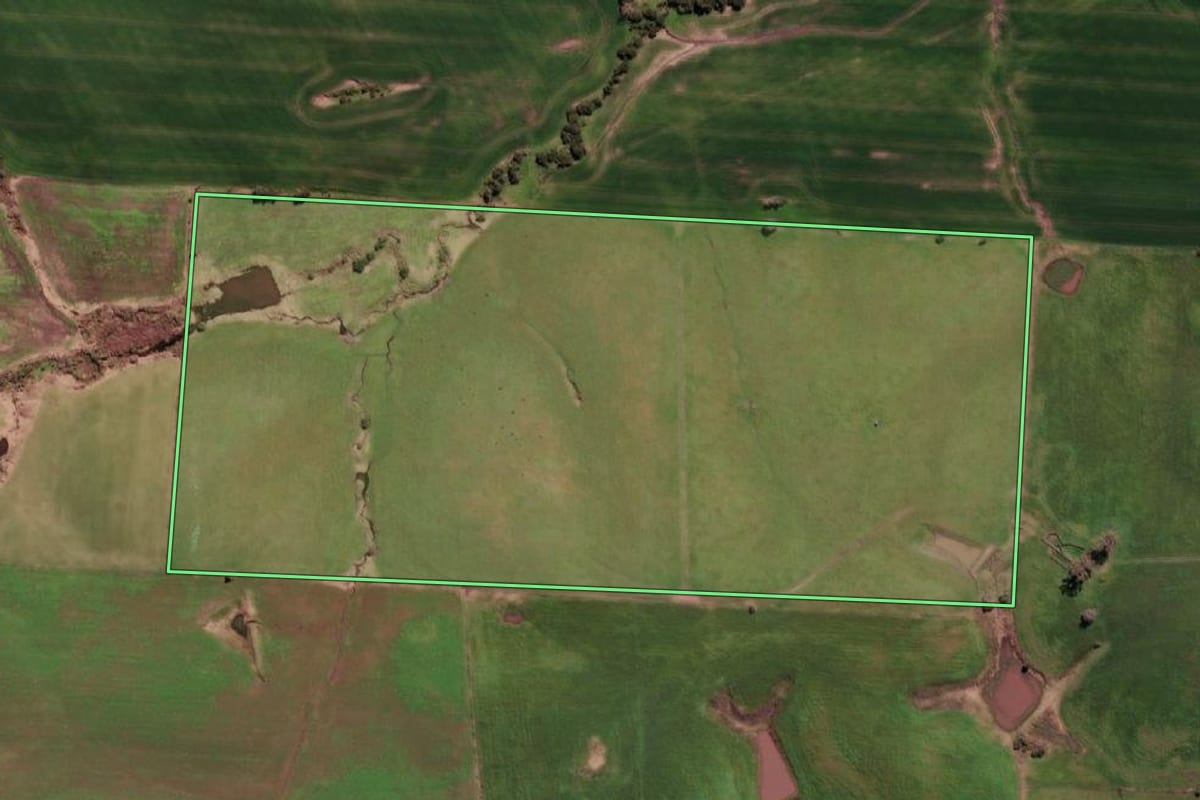 Imagem de satélite do imóvel rural em Aceguá (RS), com o contorno declarado no CAR desenhado por cima.