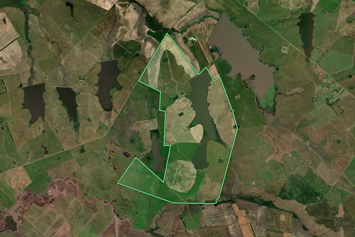 Imagem de satélite do imóvel rural em Aceguá (RS), com o contorno declarado no CAR desenhado por cima.