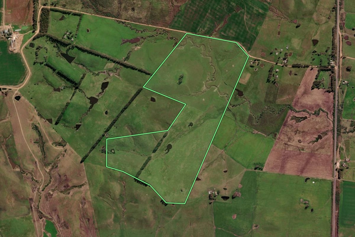 Imagem de satélite do imóvel rural em Aceguá (RS), com o contorno declarado no CAR desenhado por cima.
