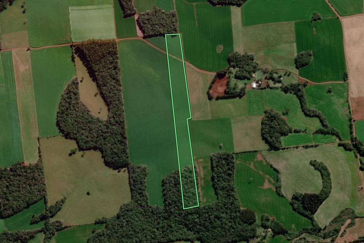 Imagem de satélite do imóvel rural em Água Santa (RS), com o contorno declarado no CAR desenhado por cima.