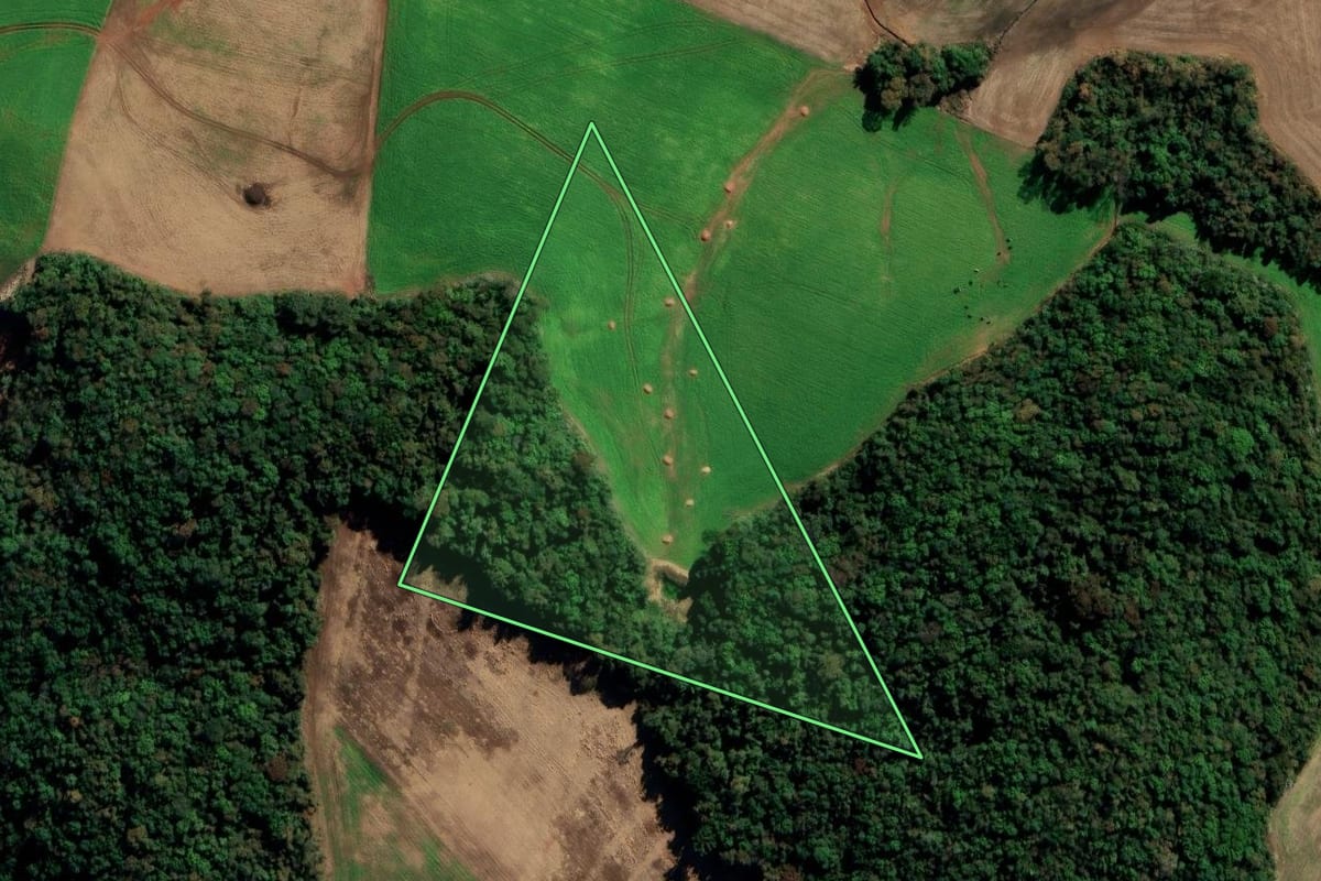 Imagem de satélite do imóvel rural em Água Santa (RS), com o contorno declarado no CAR desenhado por cima.