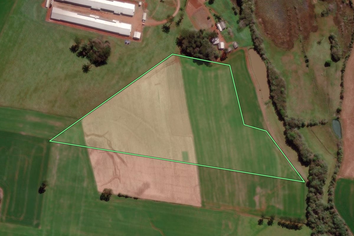 Imagem de satélite do imóvel rural em Água Santa (RS), com o contorno declarado no CAR desenhado por cima.