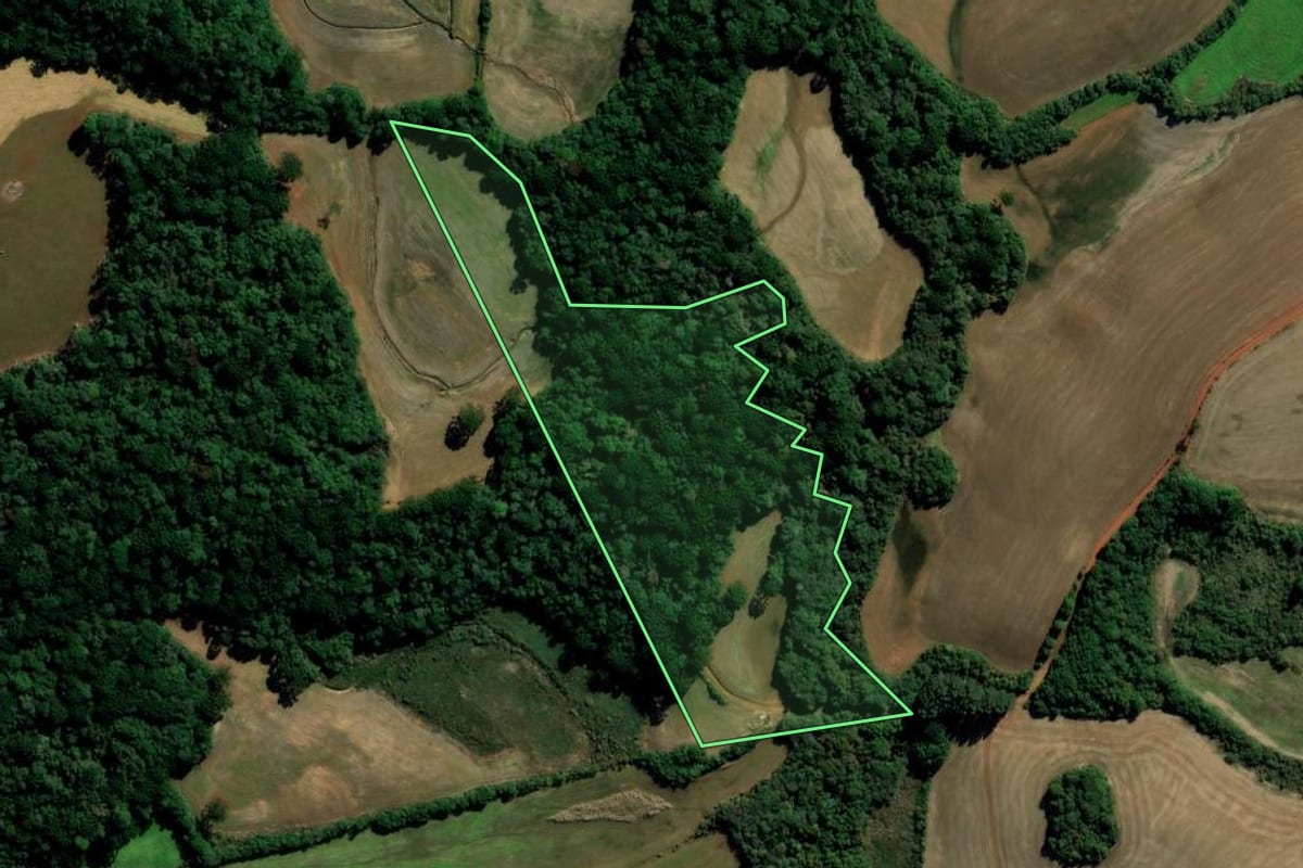 Imagem de satélite do imóvel rural em Água Santa (RS), com o contorno declarado no CAR desenhado por cima.