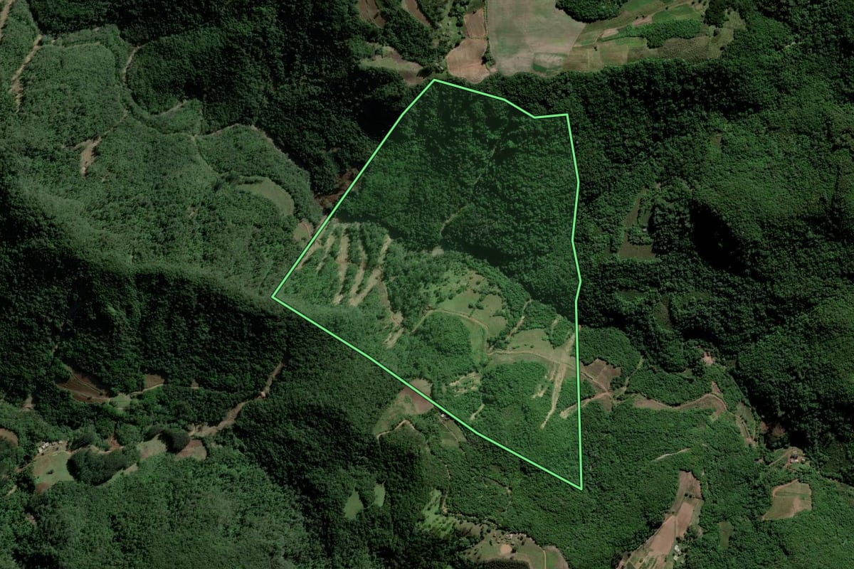 Imagem de satélite do imóvel rural em Agudo (RS), com o contorno declarado no CAR desenhado por cima.