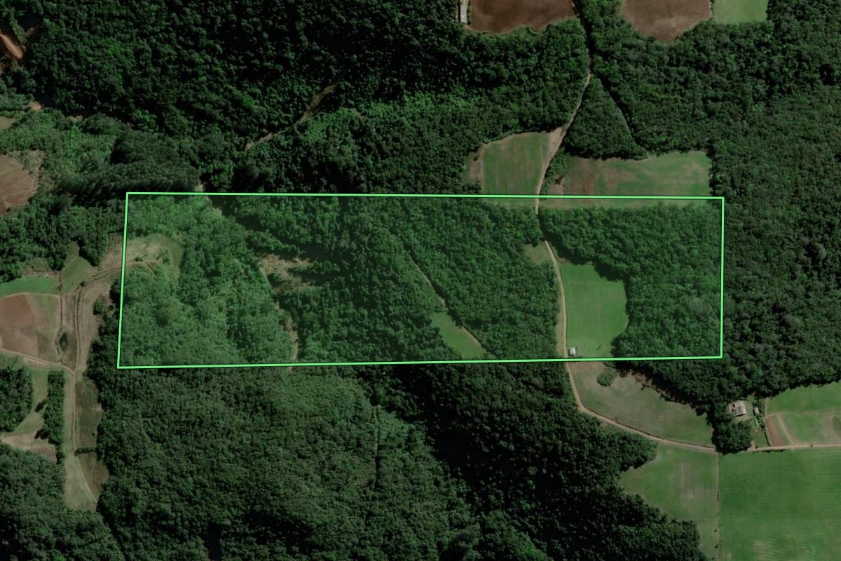 Imagem de satélite do imóvel rural em Agudo (RS), com o contorno declarado no CAR desenhado por cima.