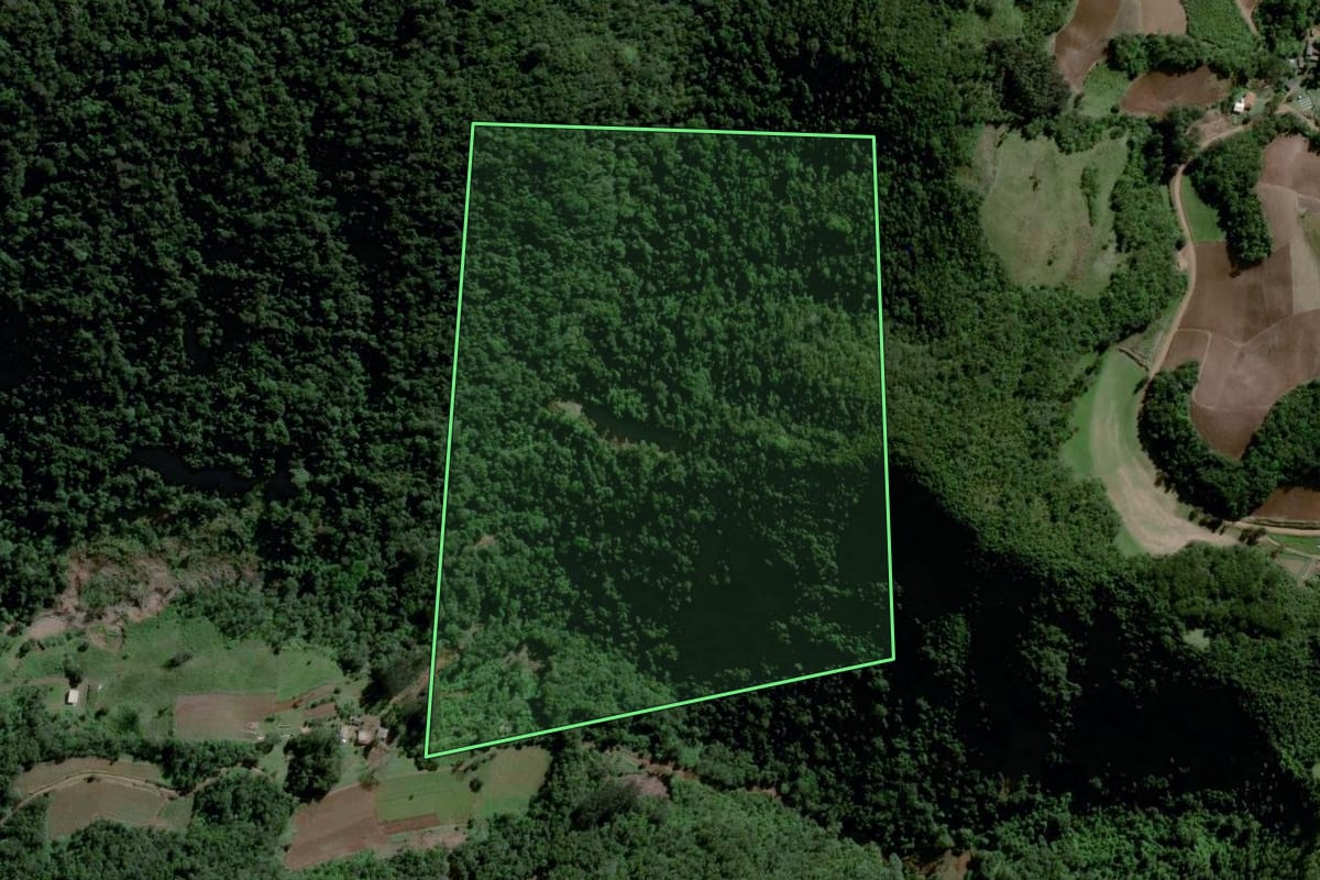 Imagem de satélite do imóvel rural em Agudo (RS), com o contorno declarado no CAR desenhado por cima.