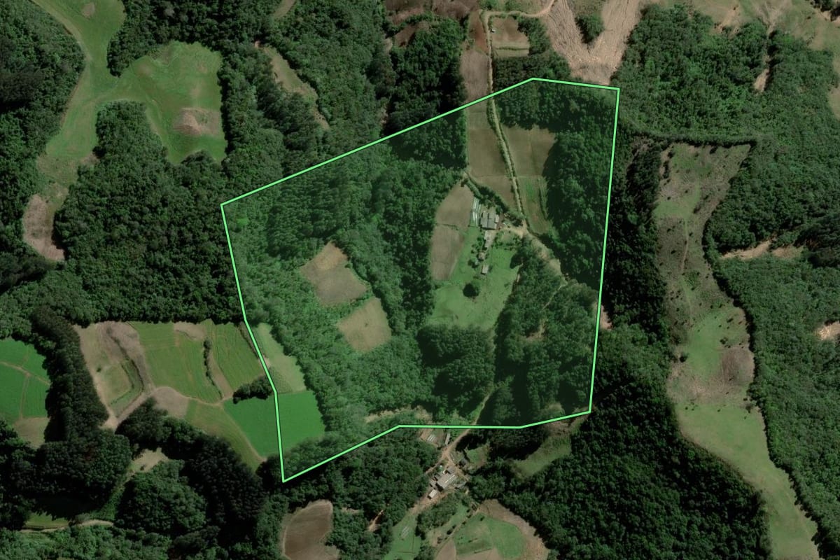 Imagem de satélite do imóvel rural em Agudo (RS), com o contorno declarado no CAR desenhado por cima.