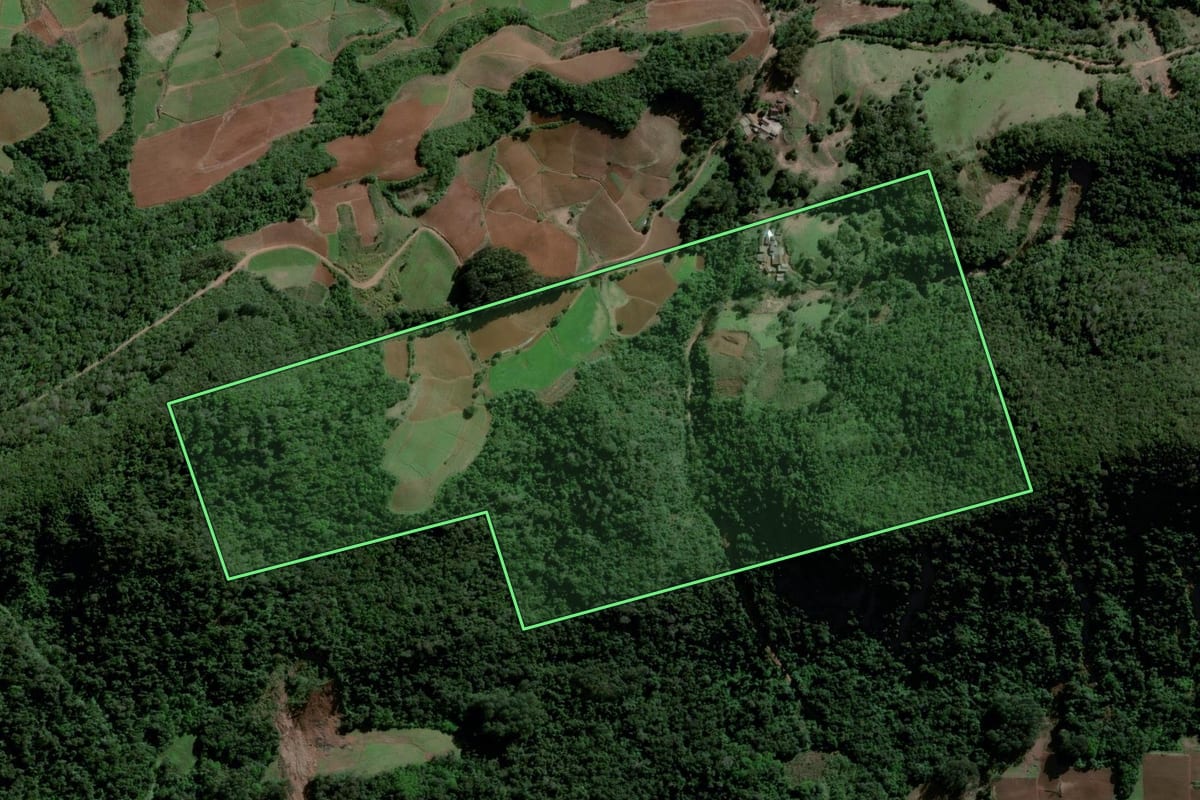 Imagem de satélite do imóvel rural em Agudo (RS), com o contorno declarado no CAR desenhado por cima.