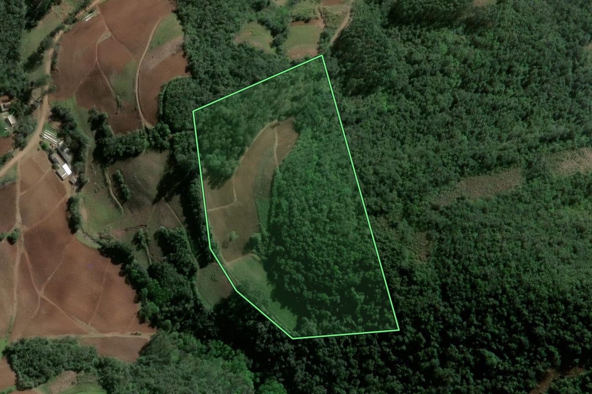 Imagem de satélite do imóvel rural em Agudo (RS), com o contorno declarado no CAR desenhado por cima.