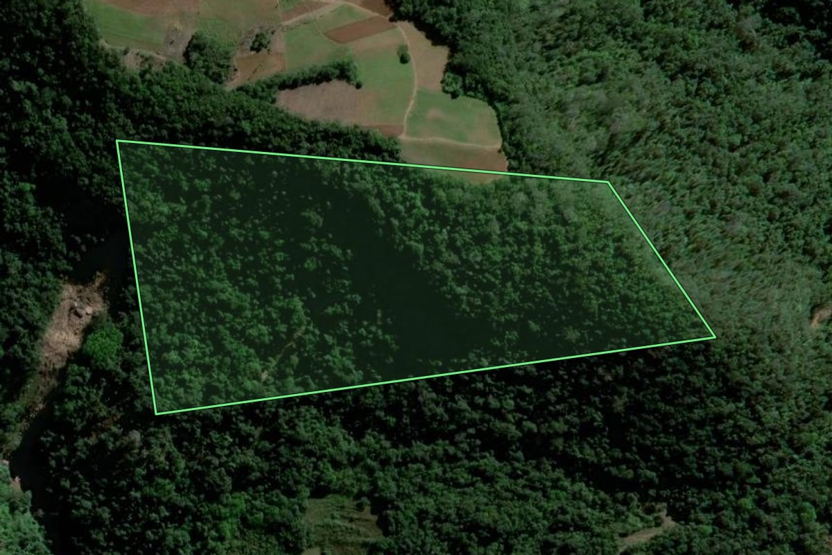 Imagem de satélite do imóvel rural em Agudo (RS), com o contorno declarado no CAR desenhado por cima.