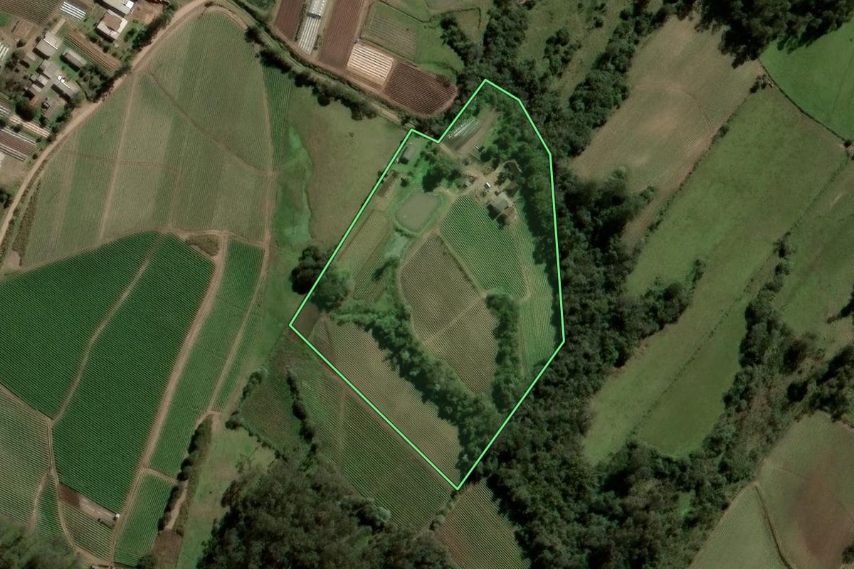Imagem de satélite do imóvel rural em Agudo (RS), com o contorno declarado no CAR desenhado por cima.