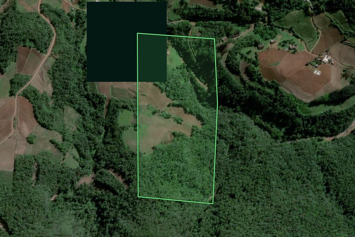 Imagem de satélite do imóvel rural em Agudo (RS), com o contorno declarado no CAR desenhado por cima.