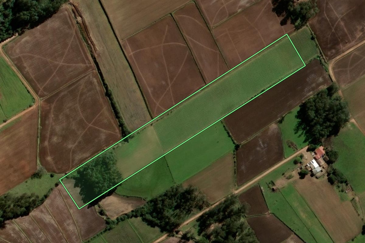 Imagem de satélite do imóvel rural em Agudo (RS), com o contorno declarado no CAR desenhado por cima.