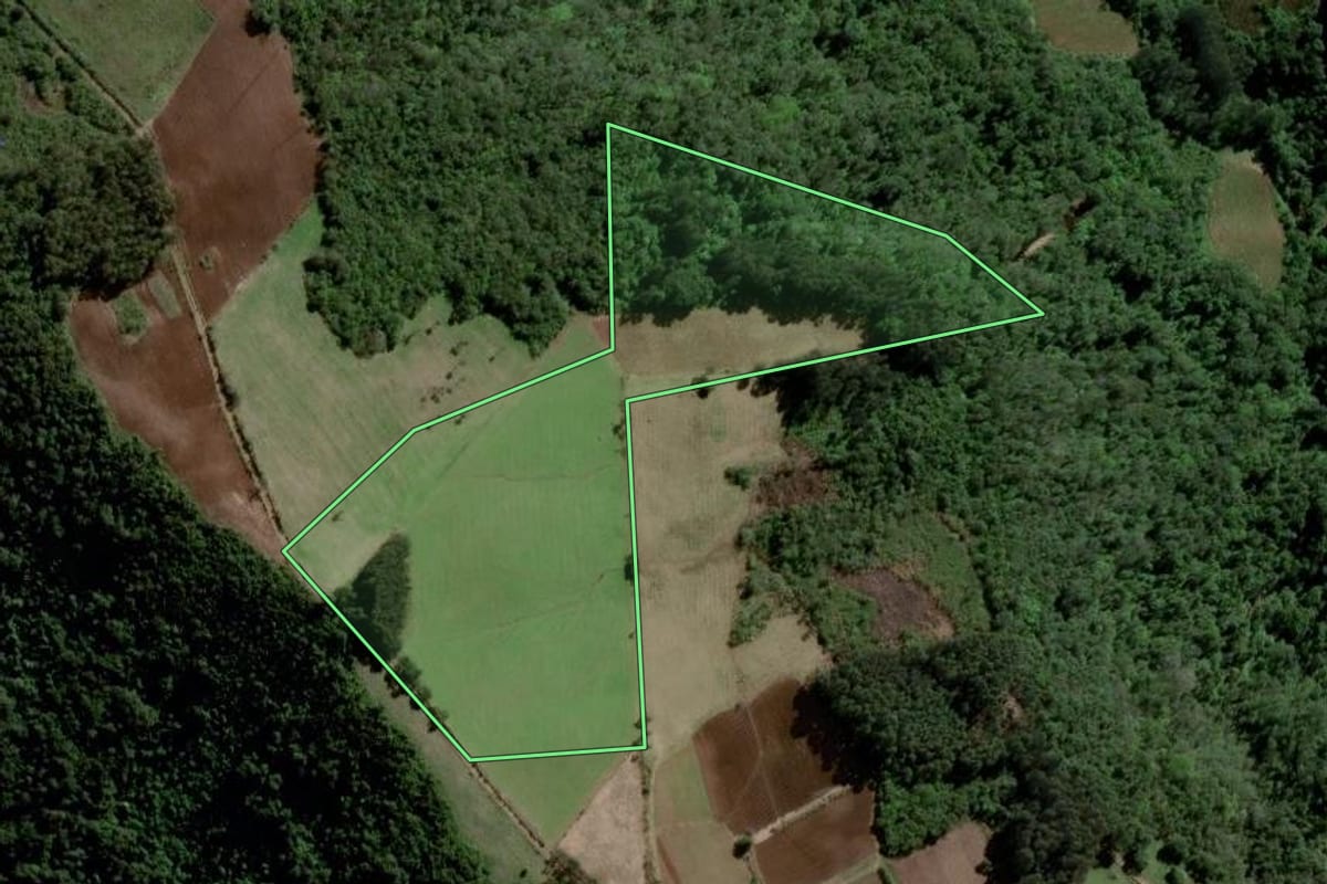 Imagem de satélite do imóvel rural em Agudo (RS), com o contorno declarado no CAR desenhado por cima.