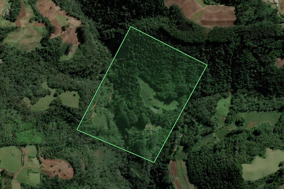 Imagem de satélite do imóvel rural em Agudo (RS), com o contorno declarado no CAR desenhado por cima.