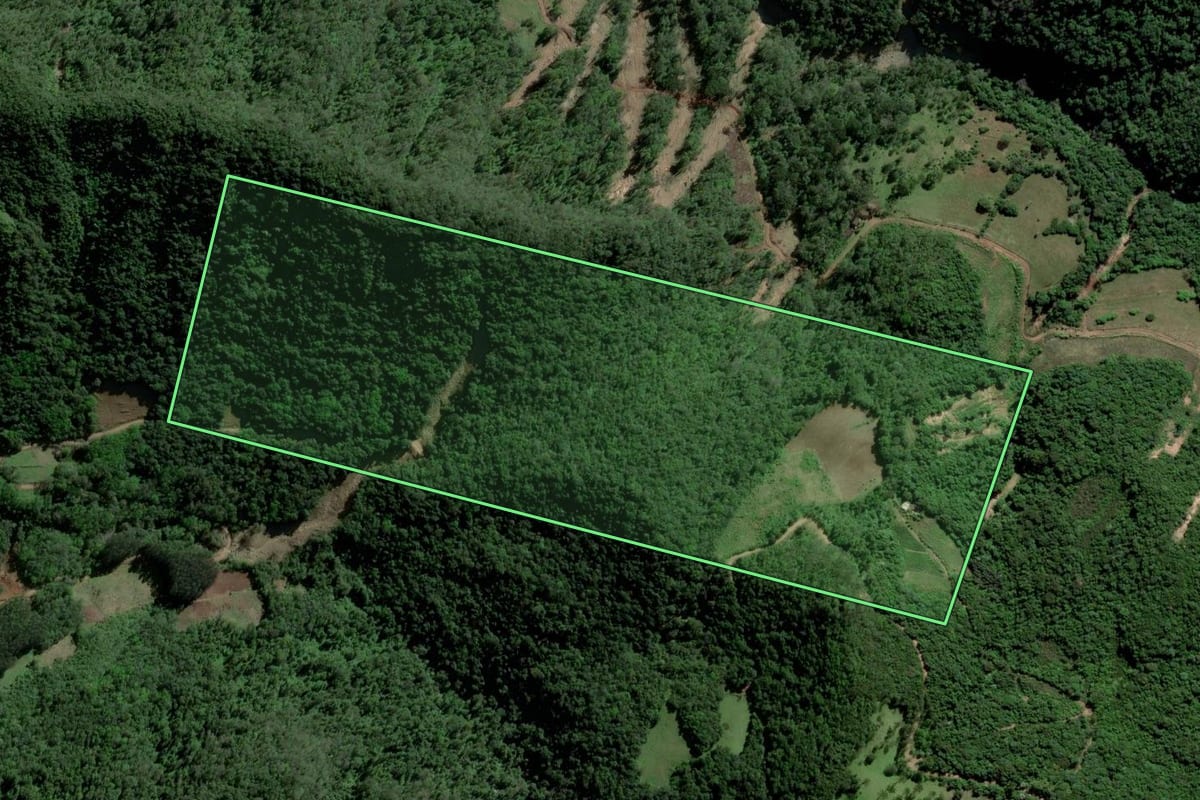 Imagem de satélite do imóvel rural em Agudo (RS), com o contorno declarado no CAR desenhado por cima.