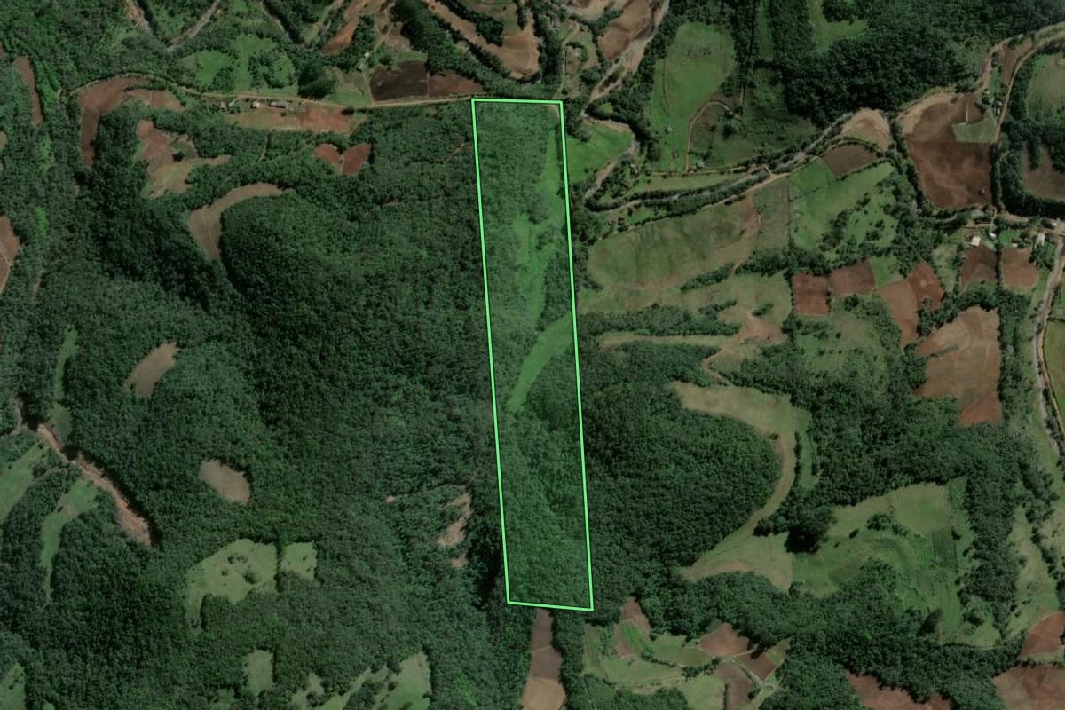 Imagem de satélite do imóvel rural em Agudo (RS), com o contorno declarado no CAR desenhado por cima.